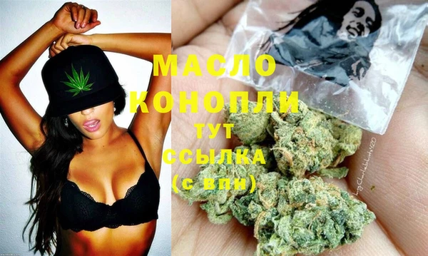 гидра Богданович