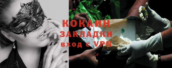 гидра Богданович