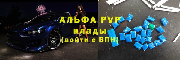 крисы Бородино