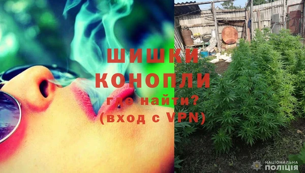 spice Богородск