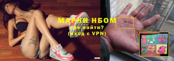 гидра Богданович