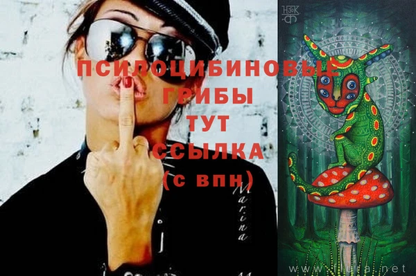 кокс Богородицк