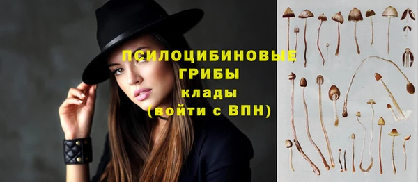 бошки Бронницы