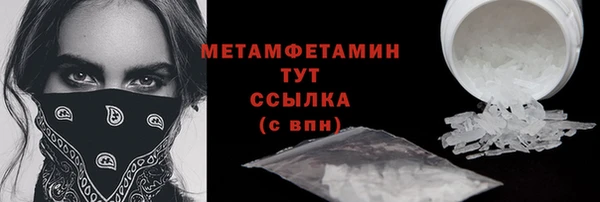 крисы Бородино
