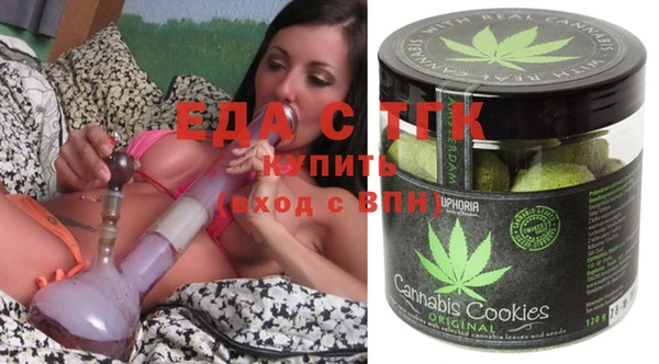 крисы Бородино