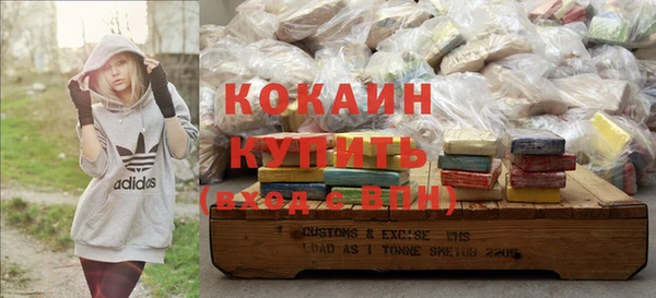 гидра Богданович