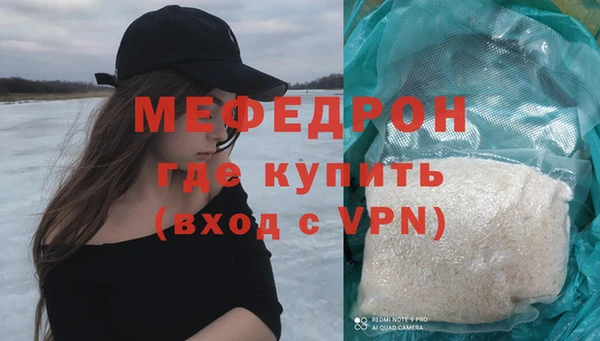 spice Богородск