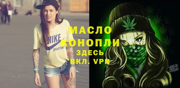 кокс Богородицк