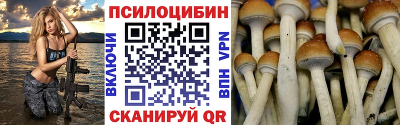 Псилоцибиновые грибы GOLDEN TEACHER  купить закладку  Купино 